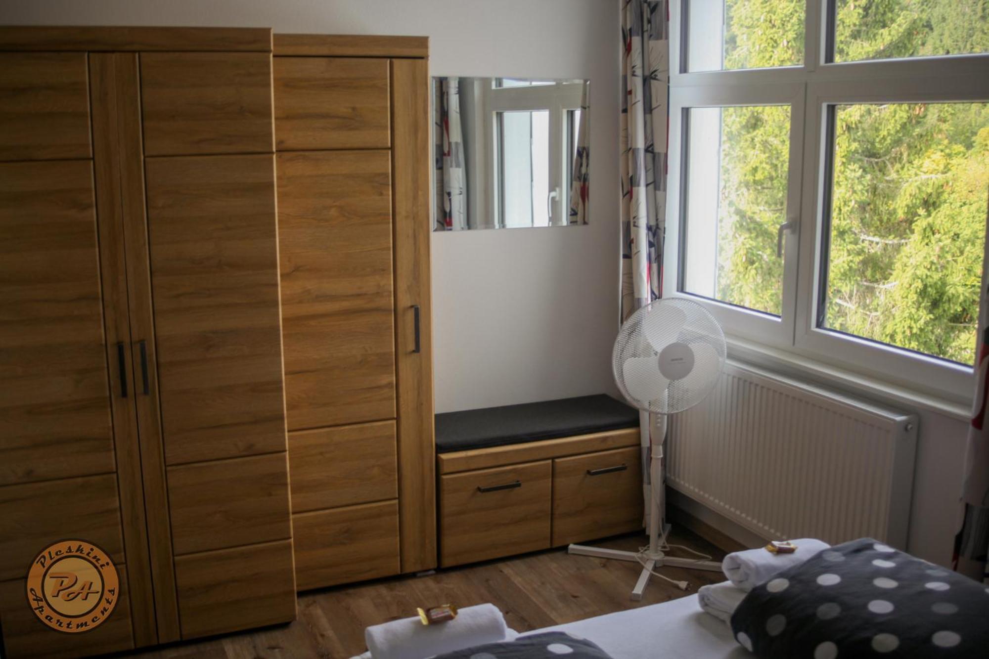 Pleskini Apartment Sankt Englmar Εξωτερικό φωτογραφία